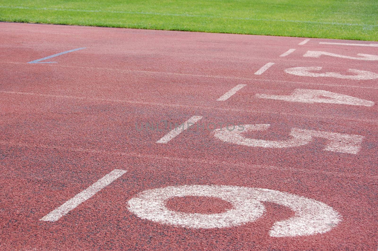 Racetrack at stadium.