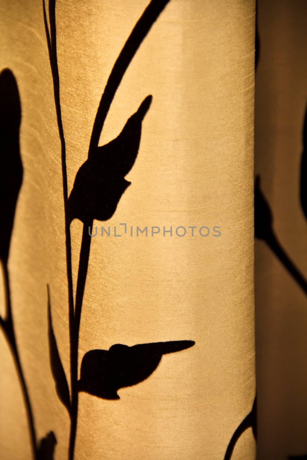 Gold curtains patterned with black flowers