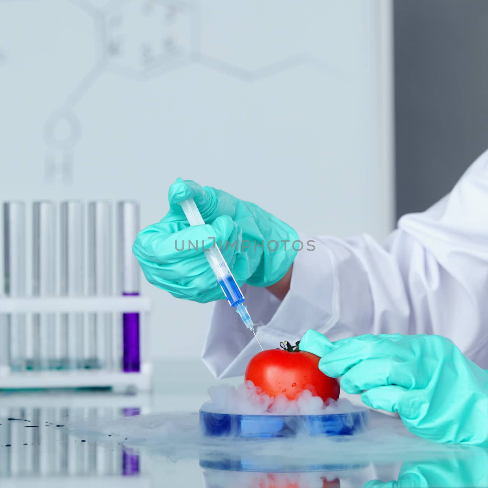  tomato DNA change microbiology experiment 