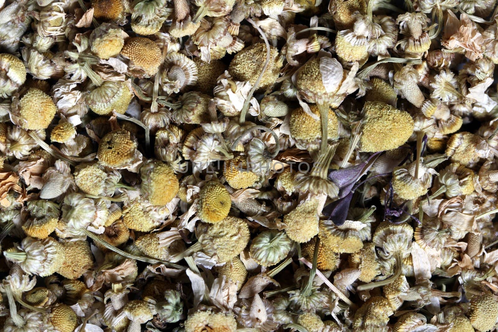 dried chamomile flowers