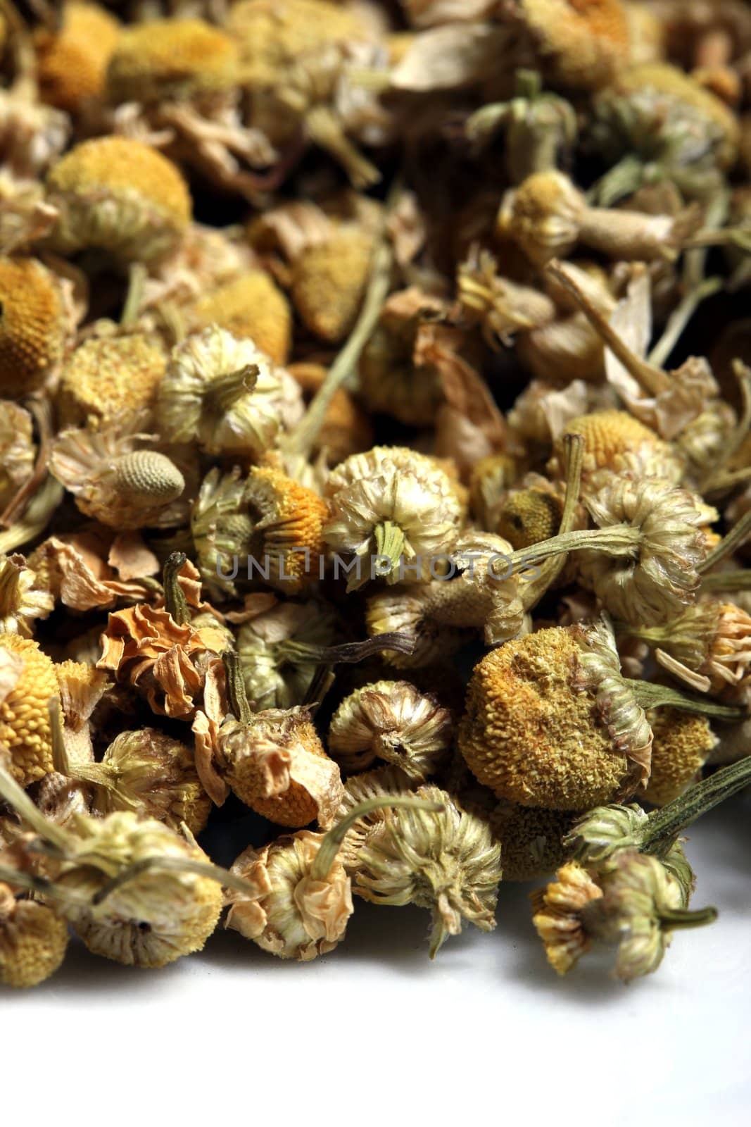 dried chamomile flowers by Teka77