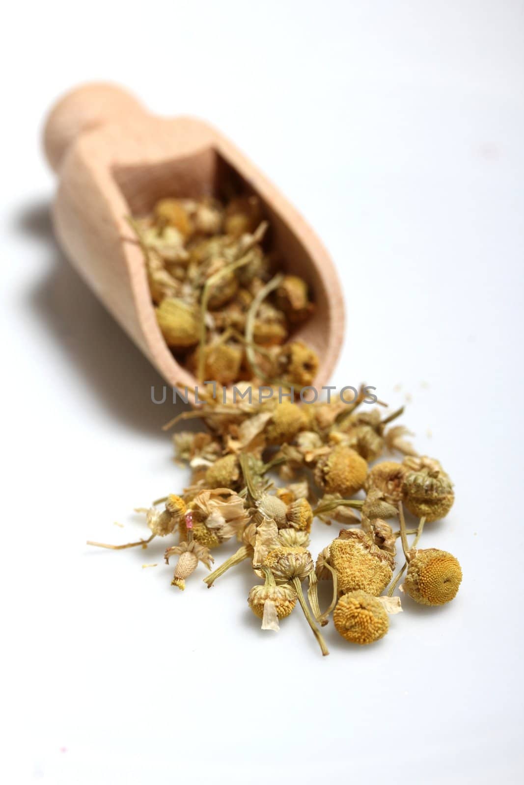 dried chamomile flowers by Teka77