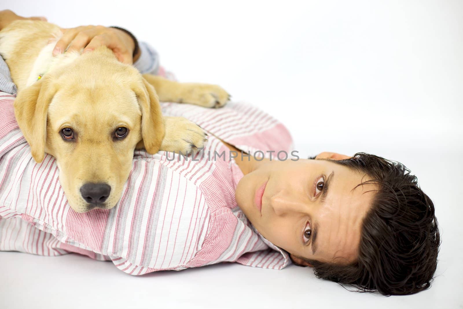 Dog laying on cool man looking into camera serious 