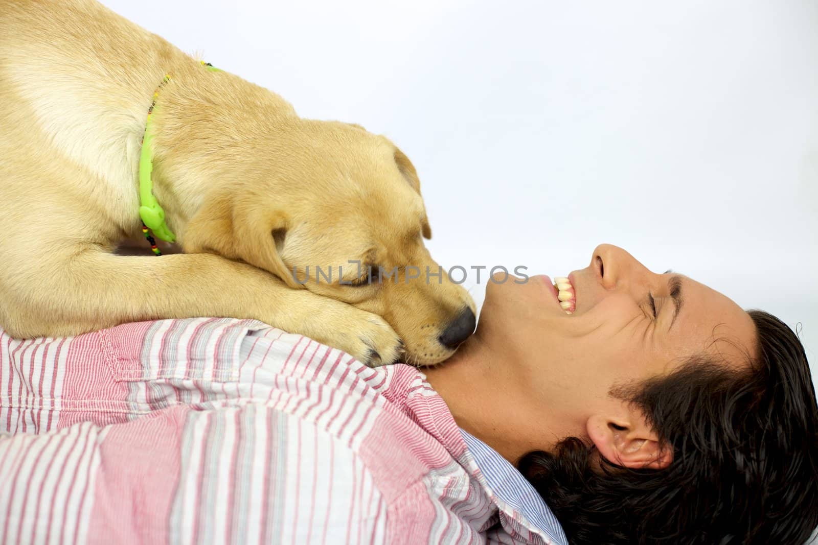 Young man laughing while his labrador dog kisses him