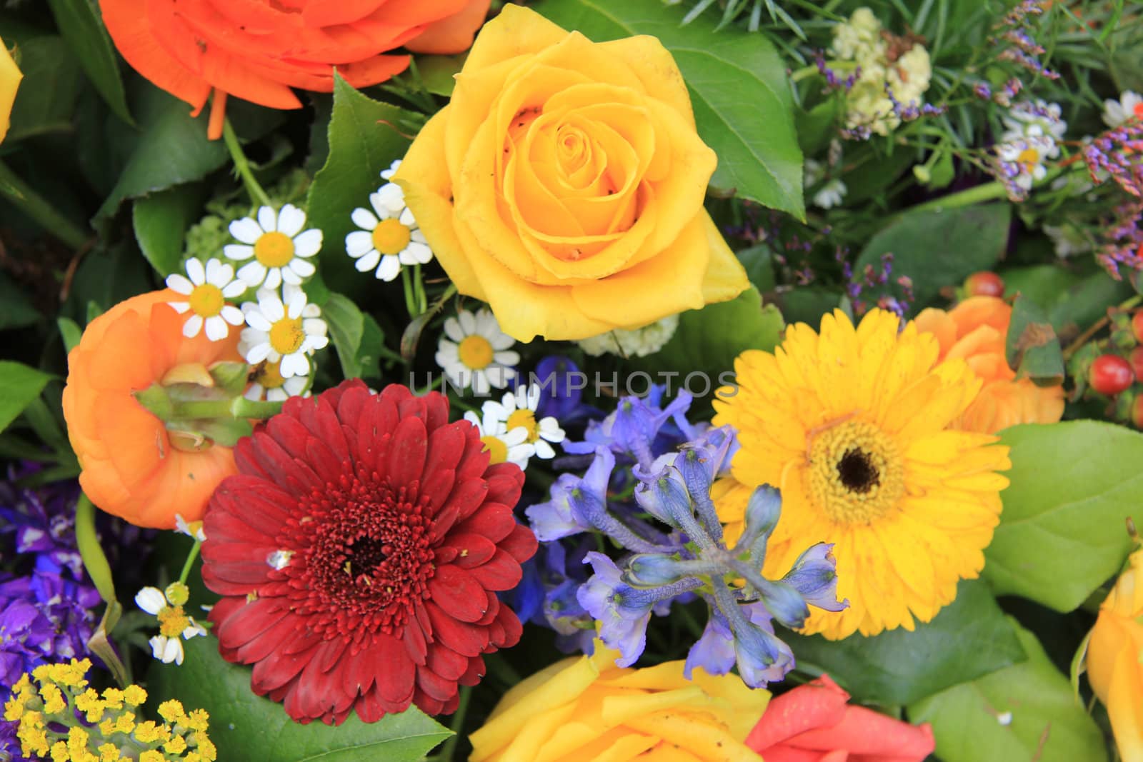 Multicolored floral bouquet in various bright colors