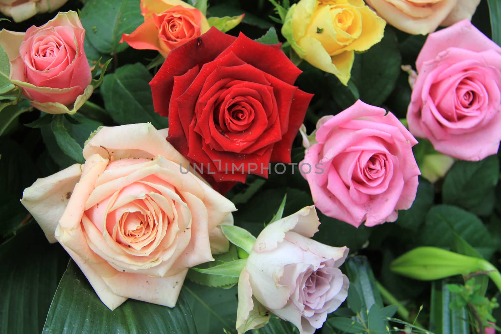 Multicolored rose bouquet by studioportosabbia
