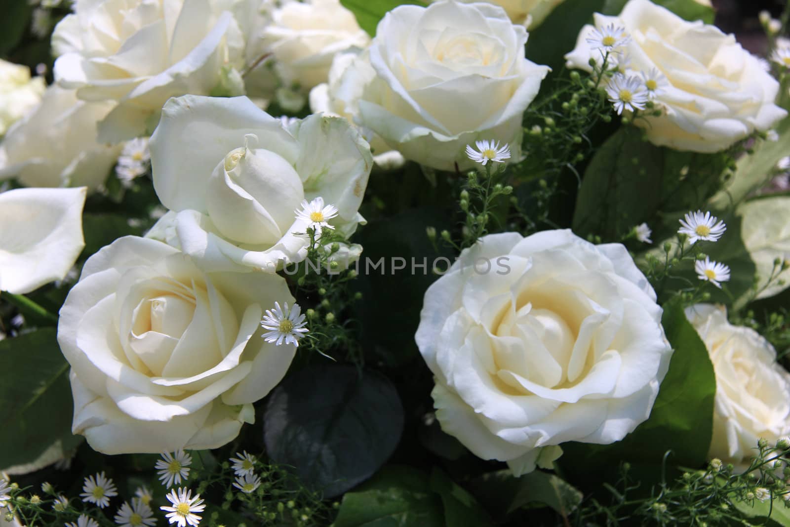 White roses and matricaria in a wedding centerpiece