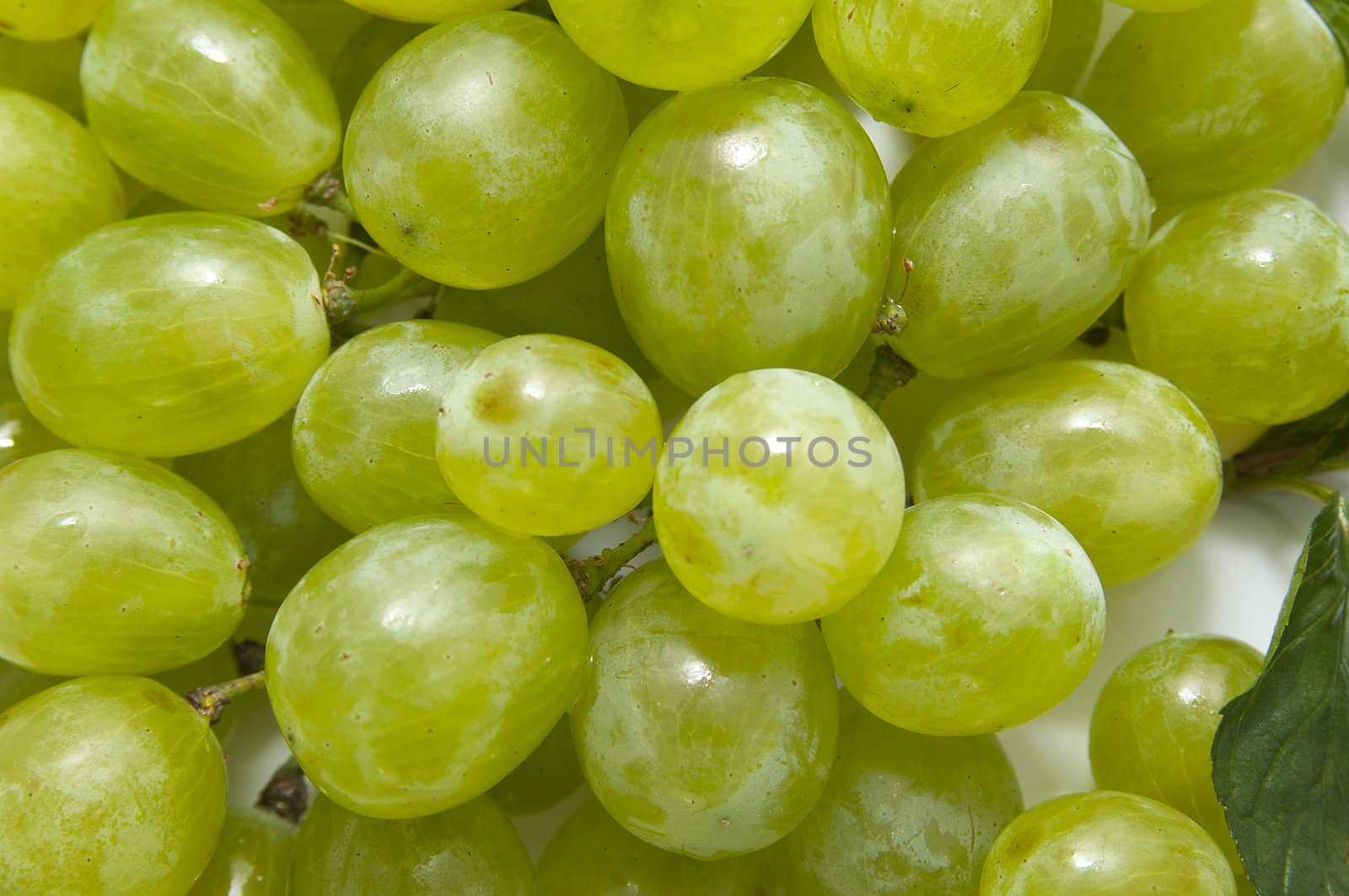 Grapes on a platter at the restaurant on a white background