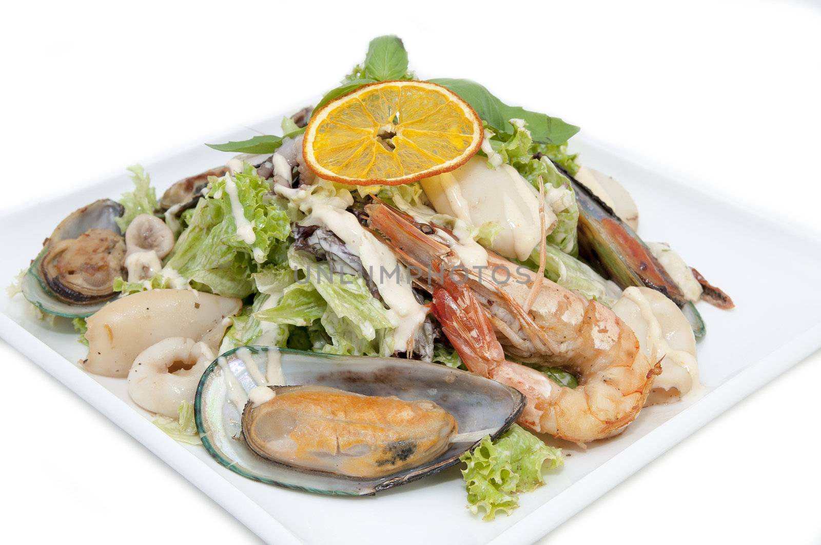 salad with seafood in a restaurant on a white background