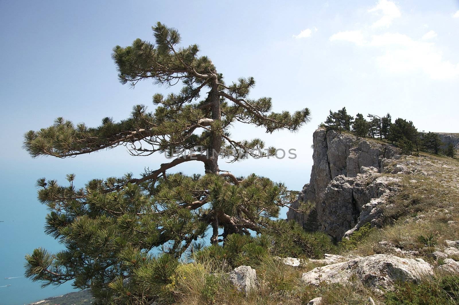 Mountain Crimea in Ukraine by Lester120