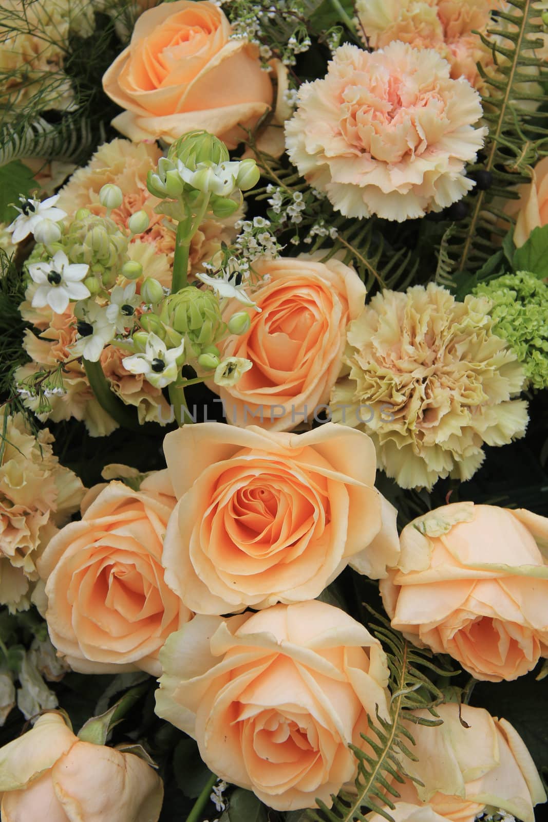 Carnations and roses in a pale orange shade, floral composition