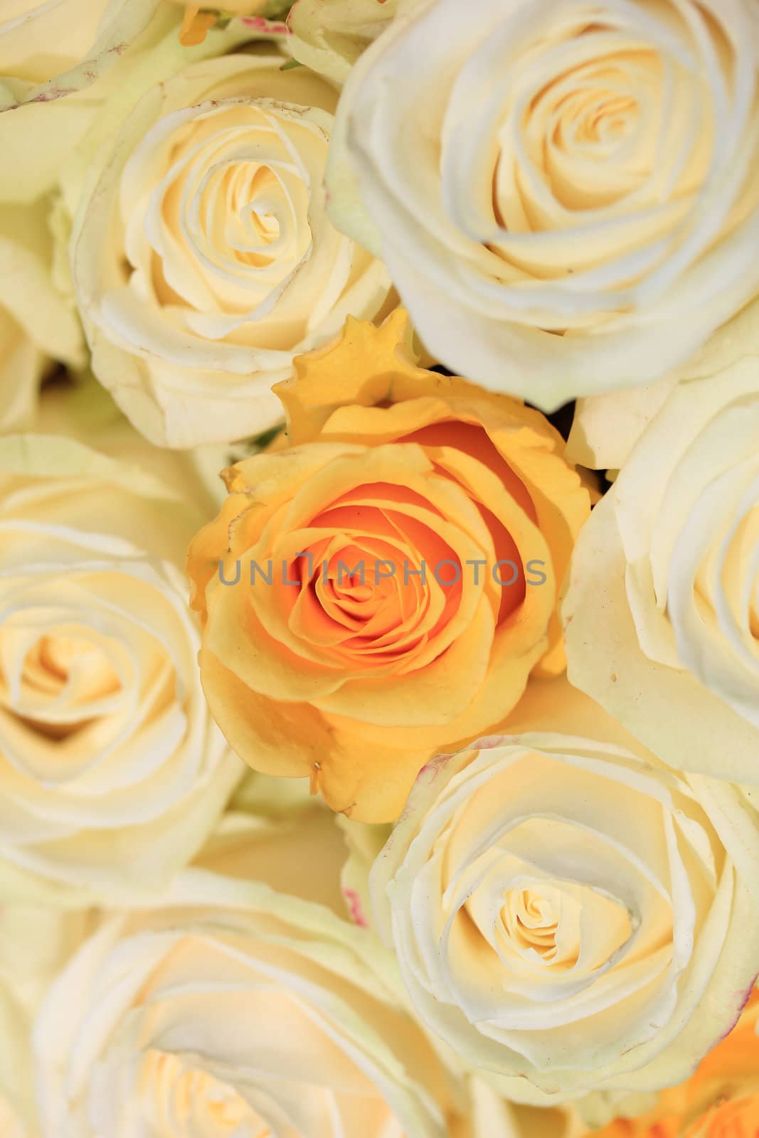 White and yellow roses in brdal flower arrangement by studioportosabbia