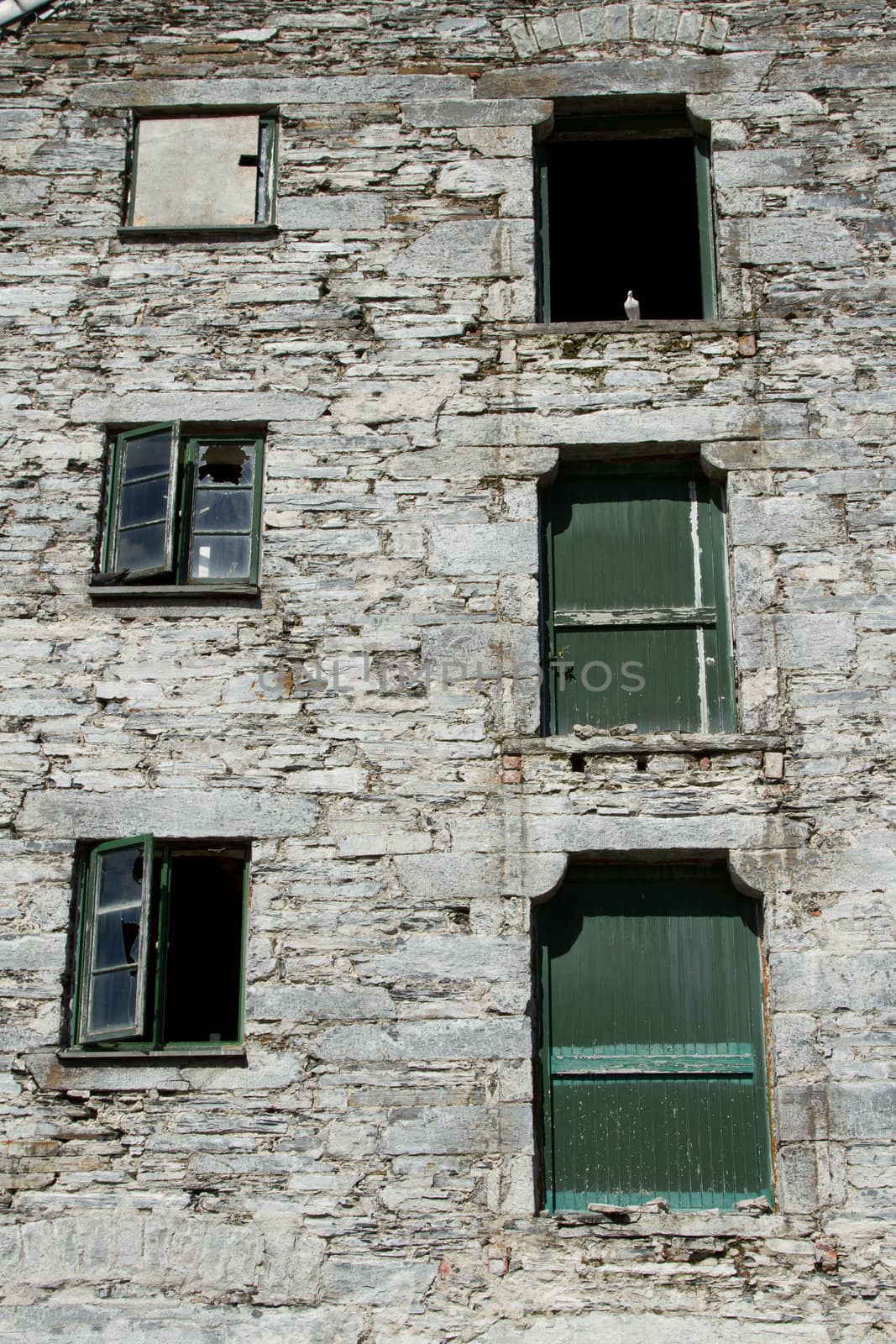 The frontage of a derelict, abandoned, building with broken windows and shutters and a white pigeon in an opening.