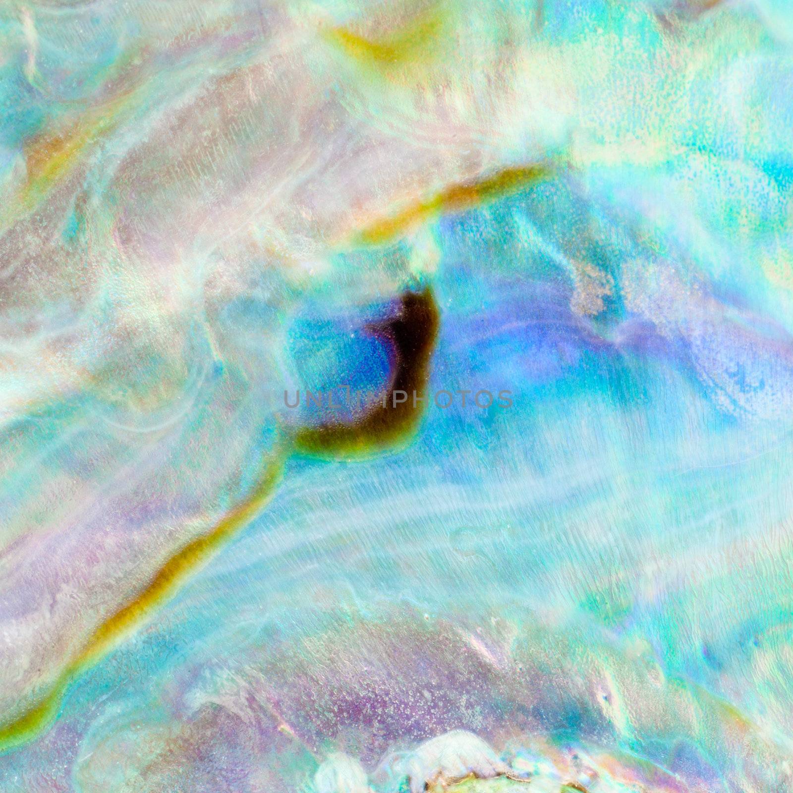 Iridescent nacre mother-of-pearl inner side of Paua, Perlemoen or Abalone shell macro background texture pattern