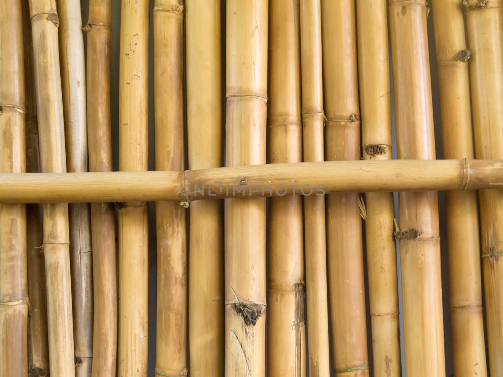 Background texture pattern of many parallel dried bamboo stick stalks with one lying across