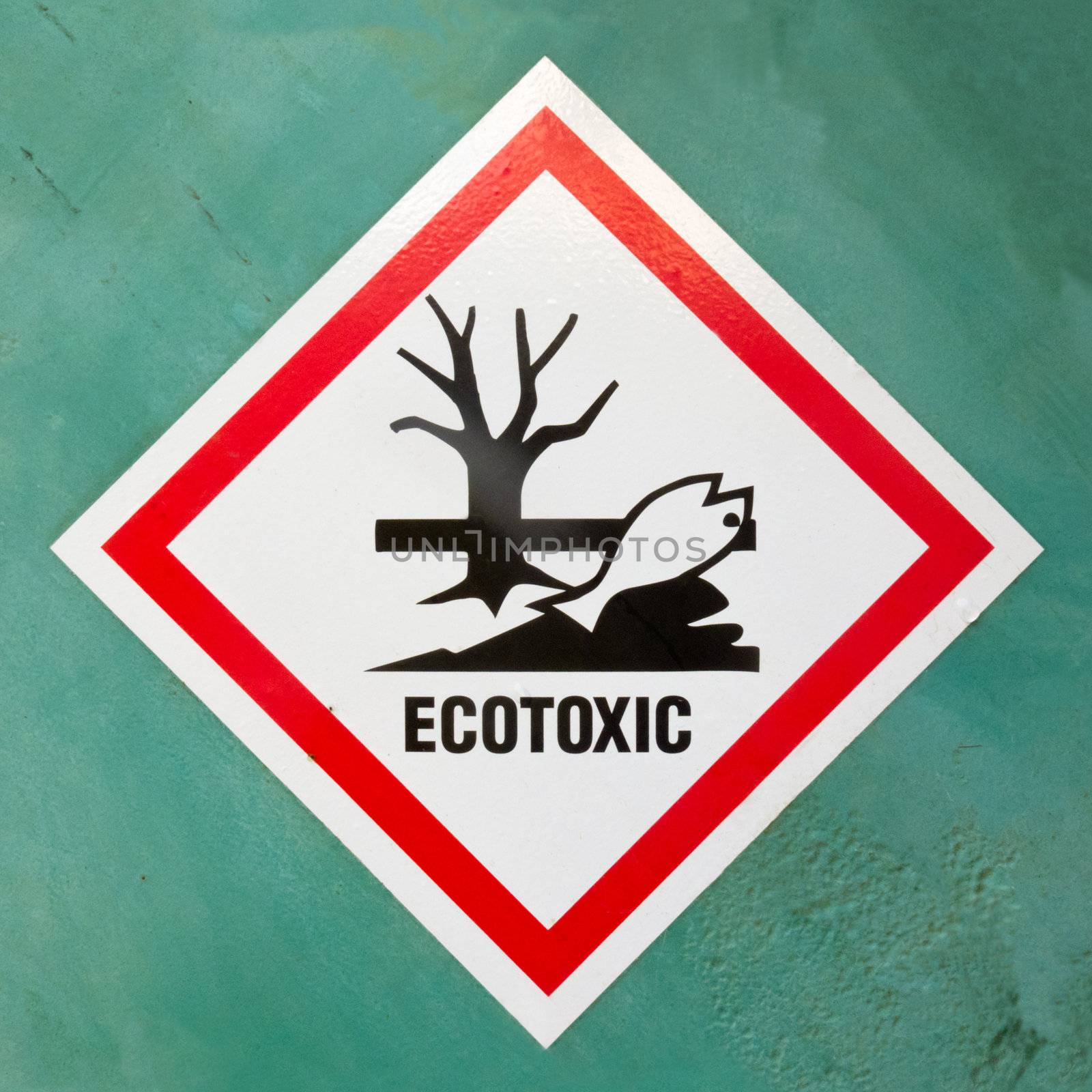 Dangerous for the environment hazard symbol or ecotoxic warning sign on a painted wall warning of lethal consequences to plant and animal life due to toxicity