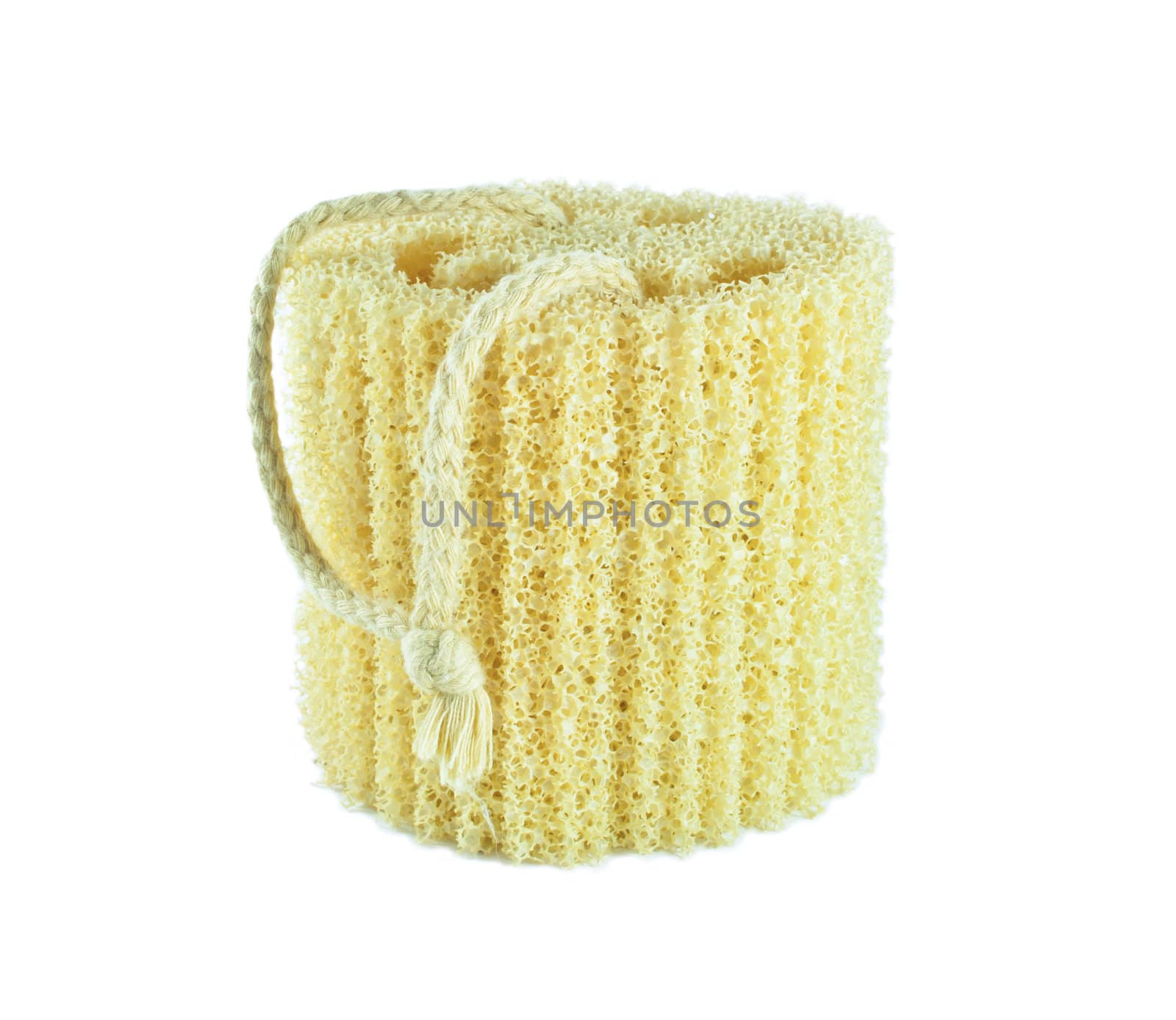 Natural scrubber of dried Ridge gourd