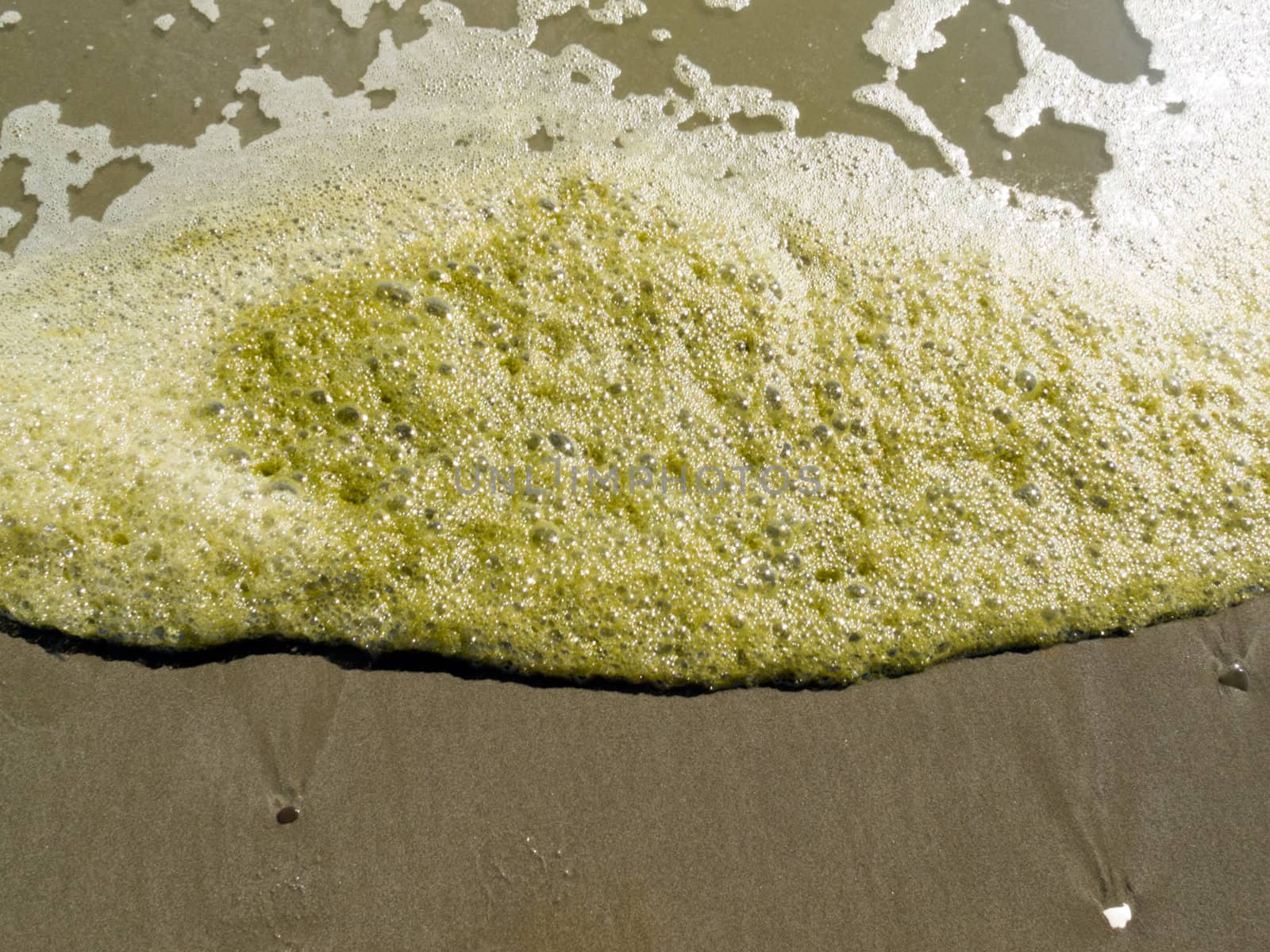 Background texture pattern of dirty foam pollution washed up on sandy beach