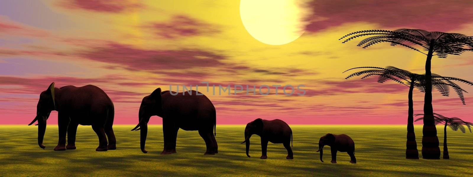 elephants and sunrise