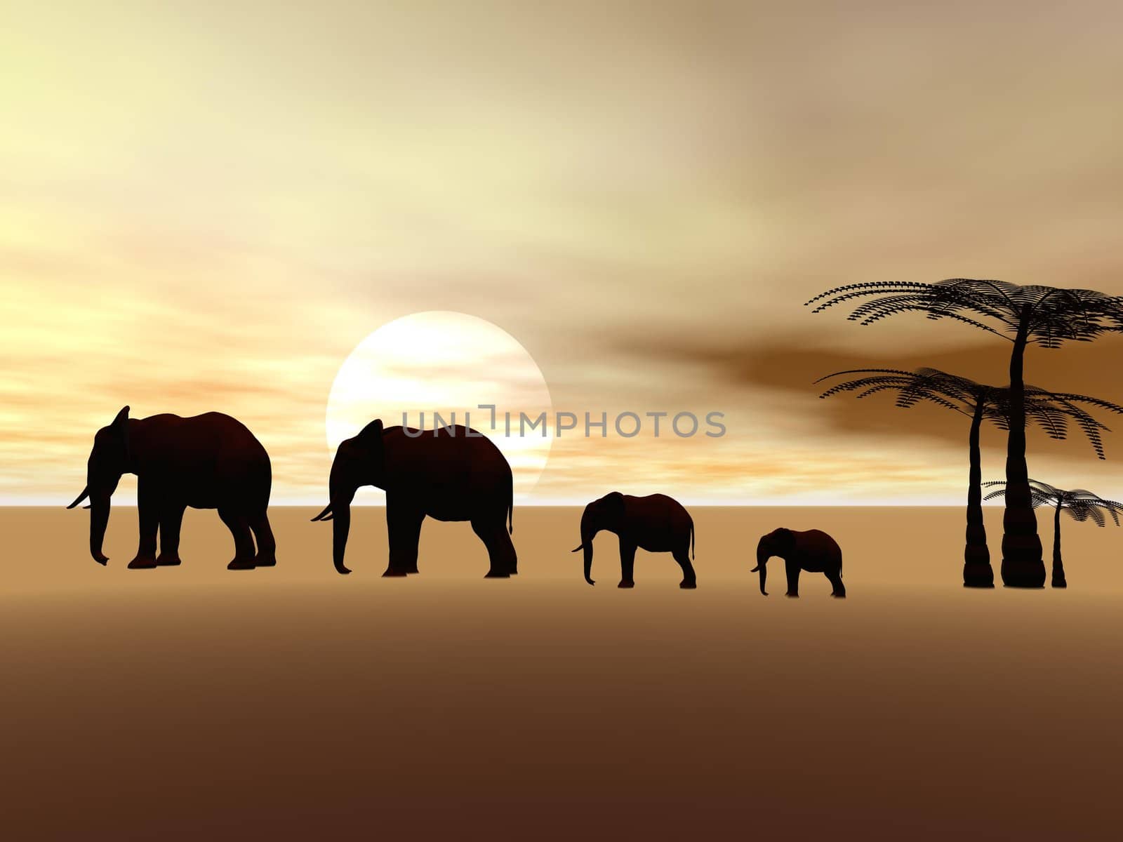 elephants and landscpe