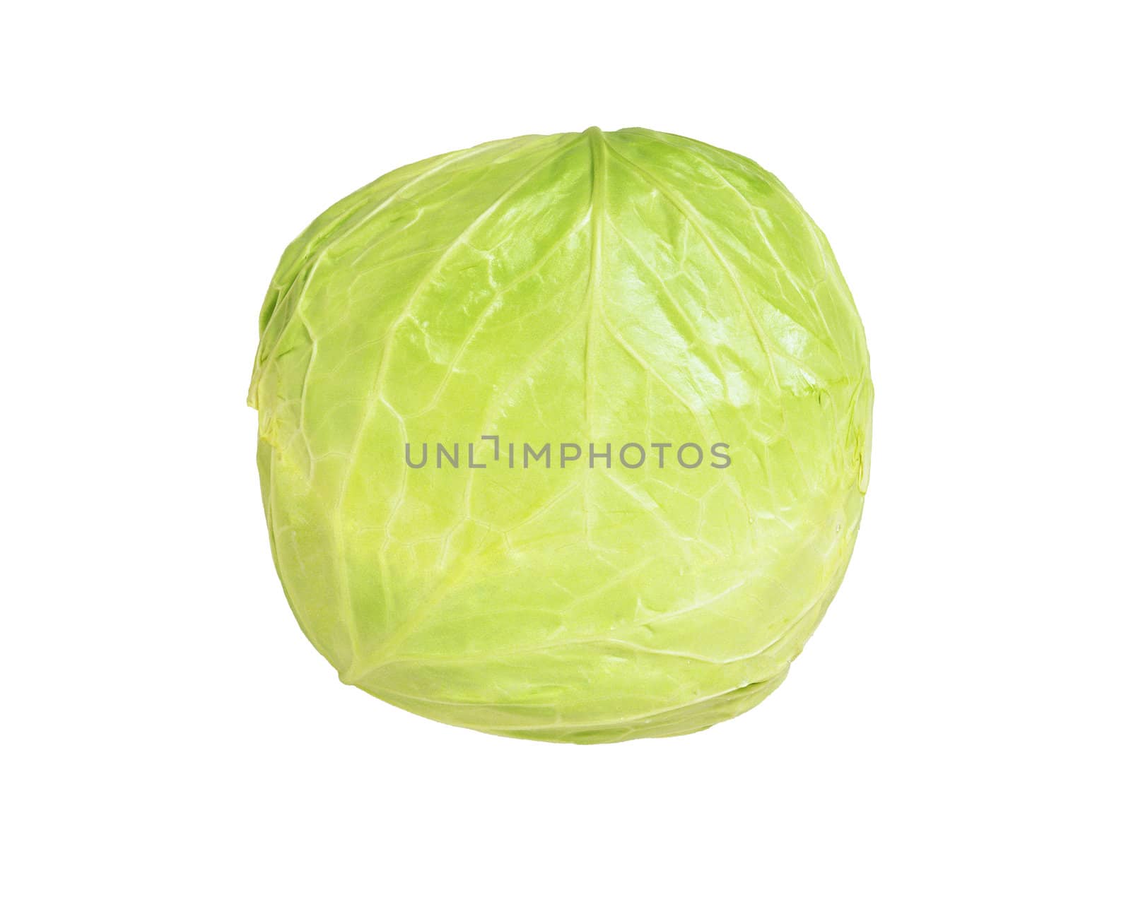 cabbage isolated