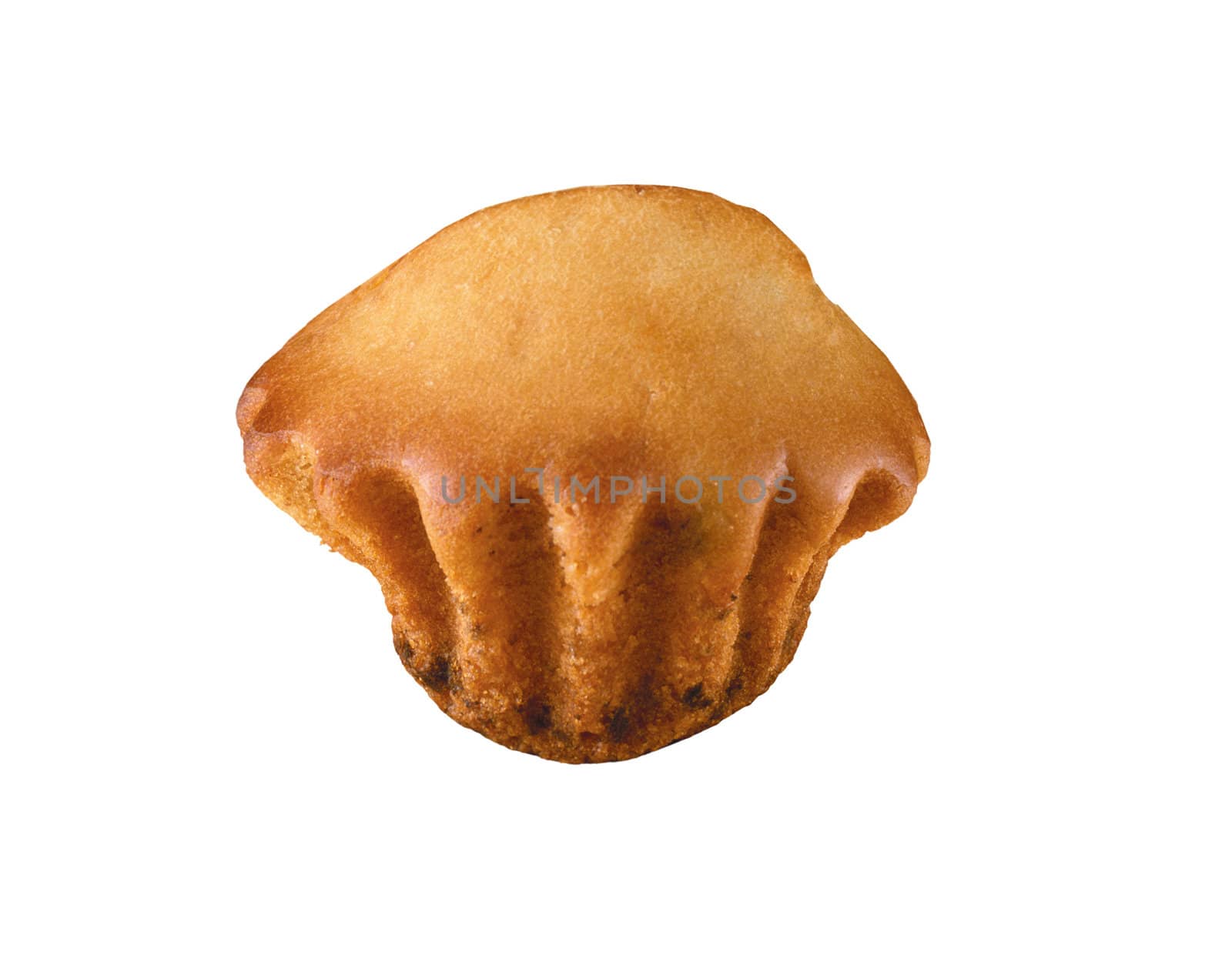 single muffin isolated