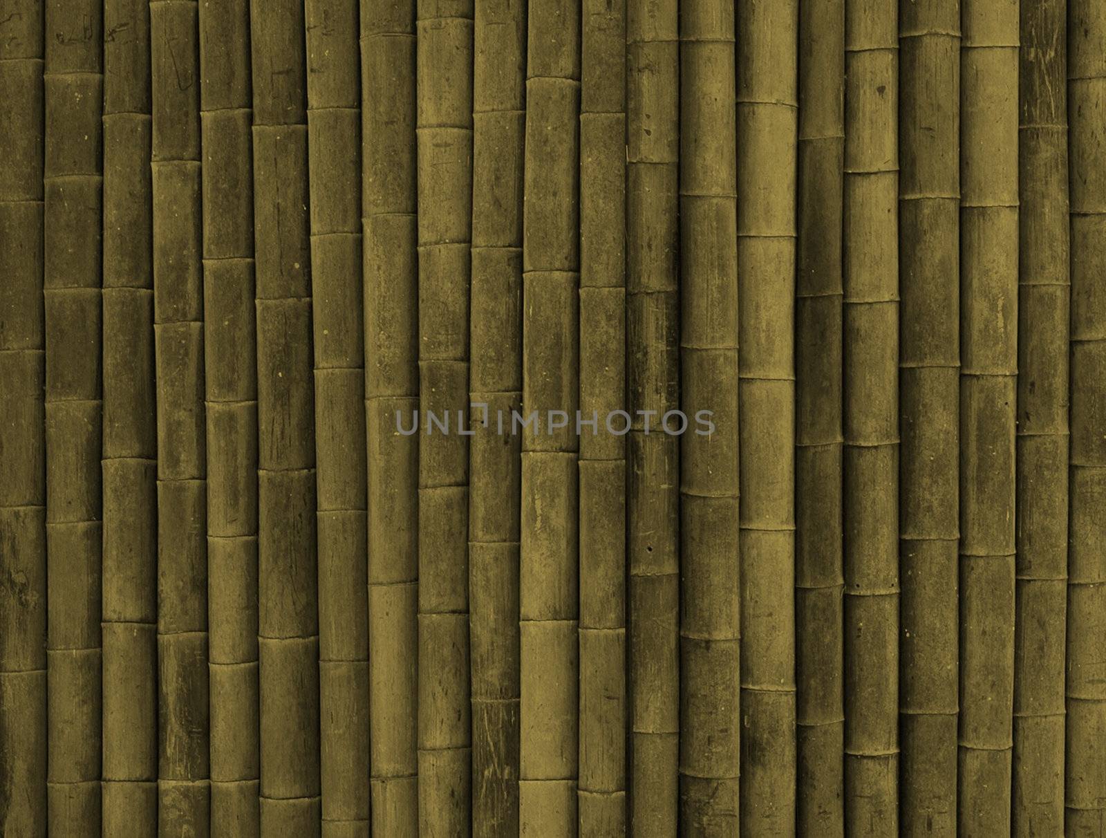 Bamboo texture