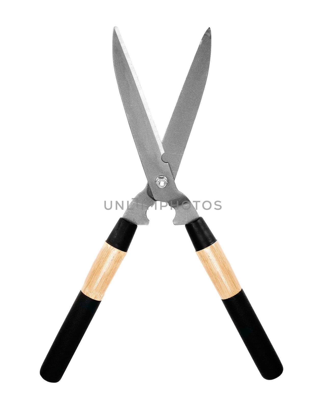 garden scissors isolated on white