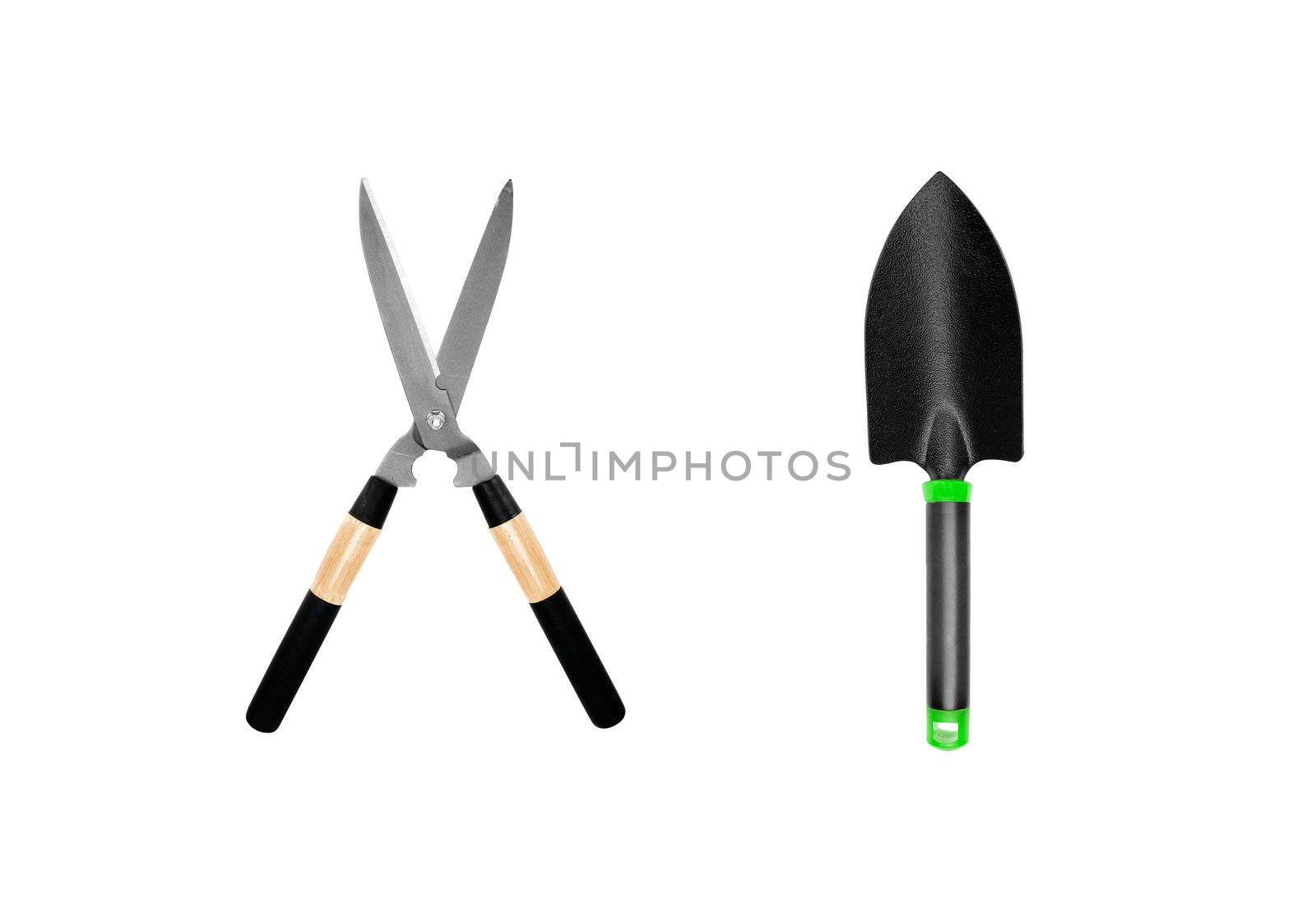 Garden tools isolated