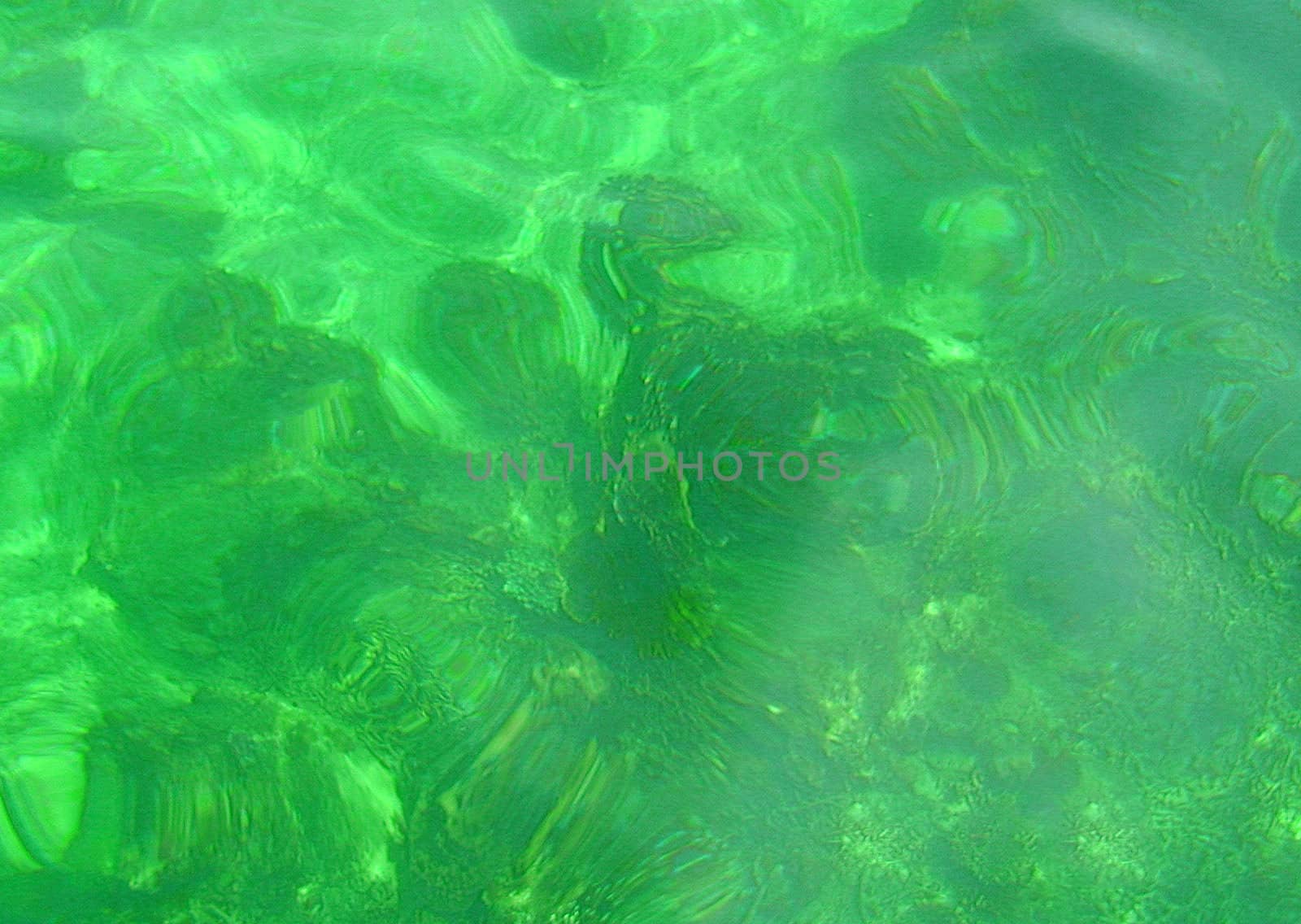 Pool water