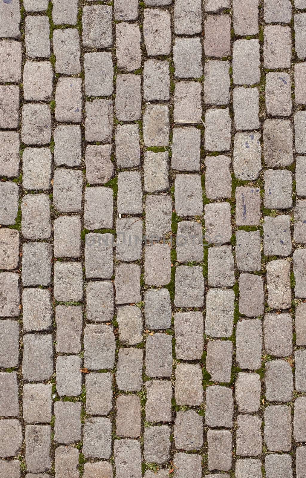 Pavement texture