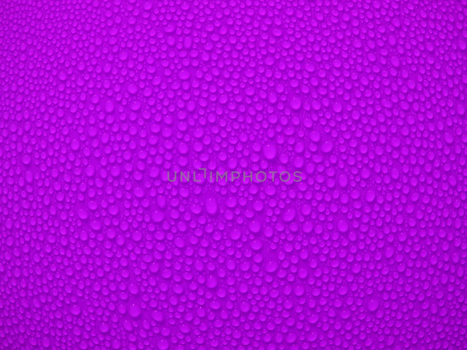 Water drop om purple background