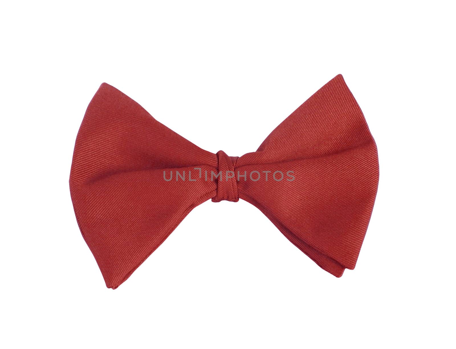 Red tie-bow isolated on white