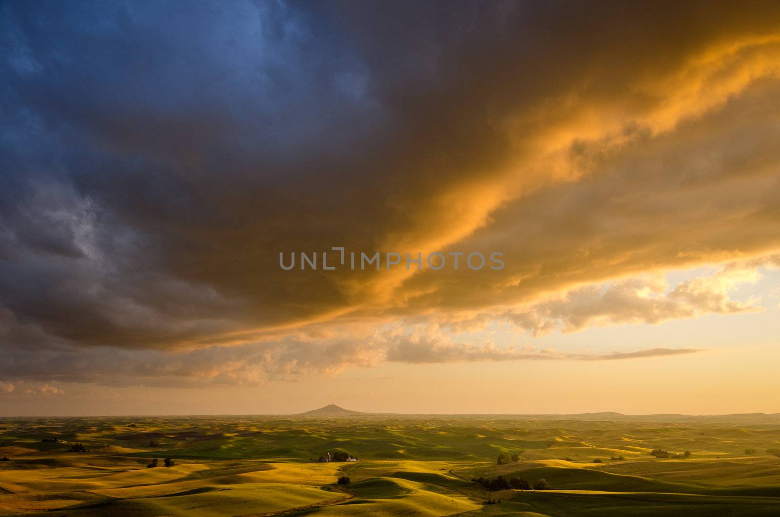 Steptoe Butte and rolling hills at sunset in summer, Whitman County, Washington, USA by CharlesBolin