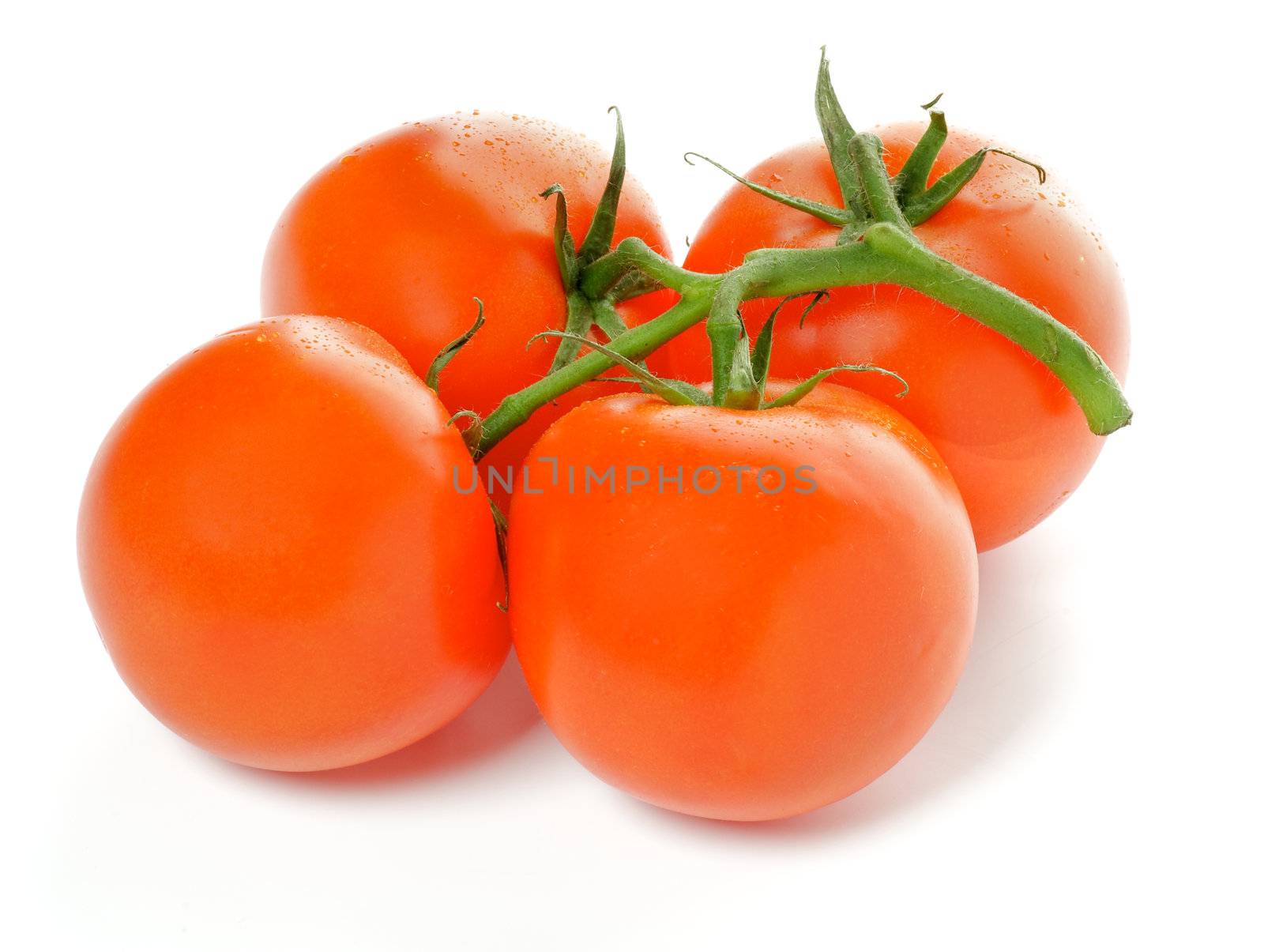 Four Fresh Ripe Tomatoes isolated on white background