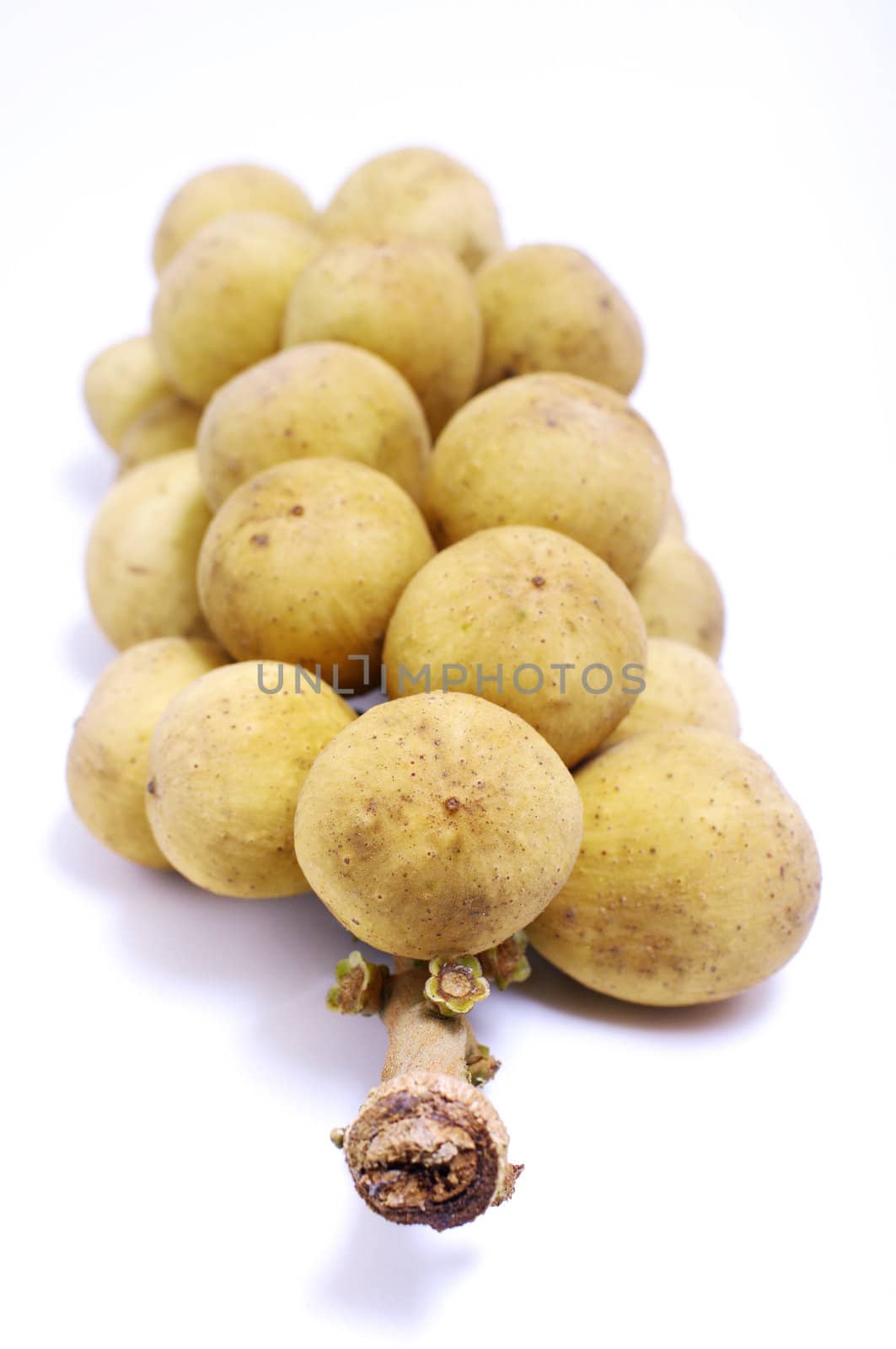 Lanzones fruit isolated on white background 