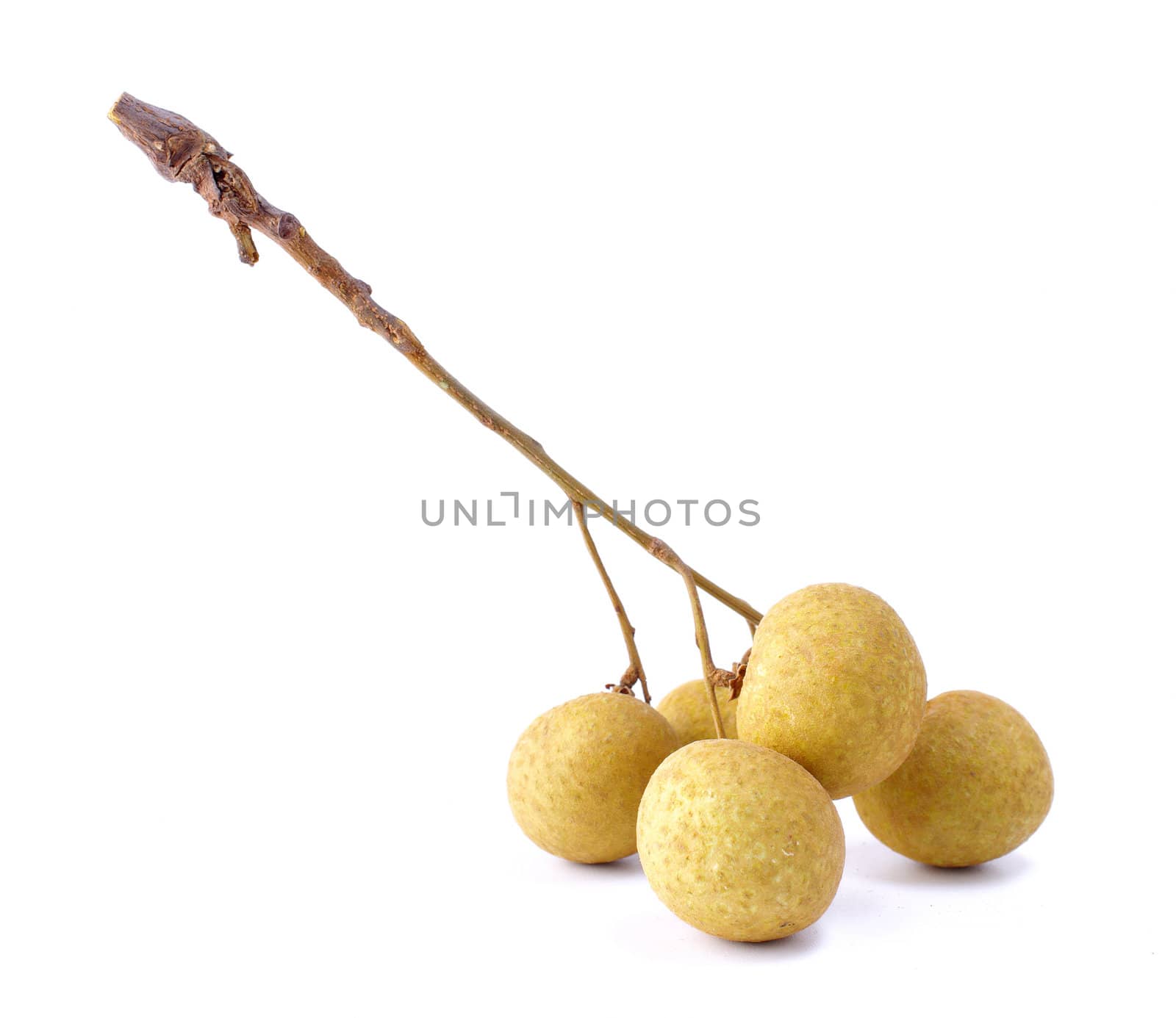 Fresh longan on the white background 