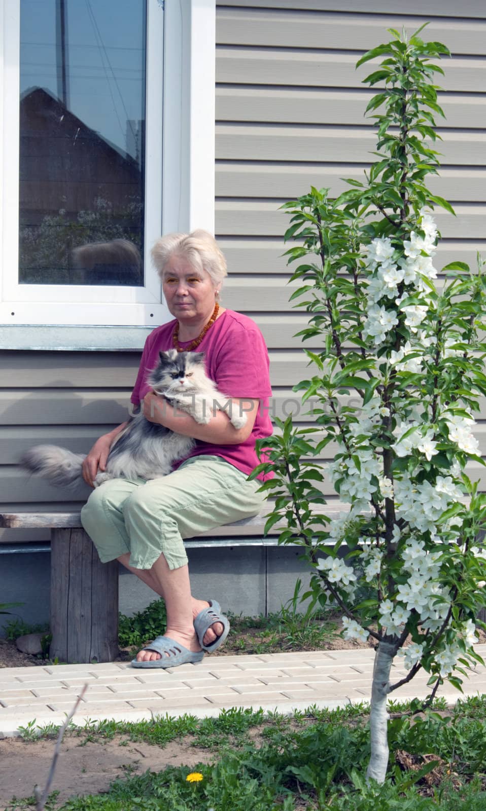 Woman sits on summer residence with thoroughbred cat on hands