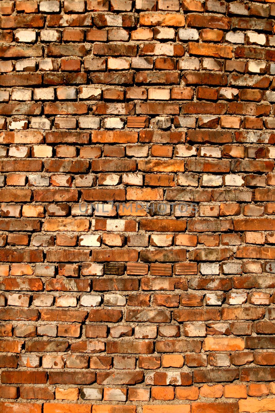brick wall by Yellowj