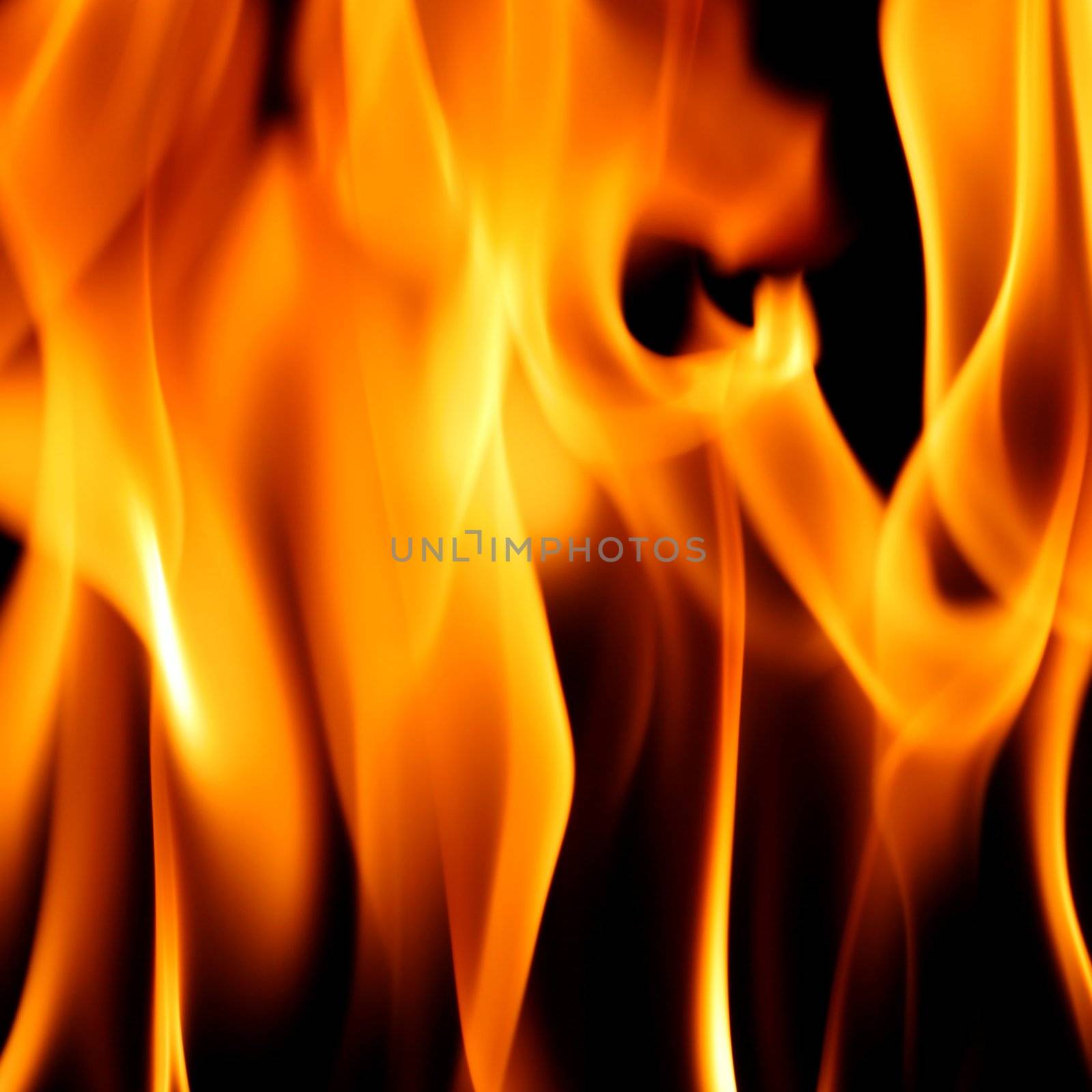 fire on black close up abstract background