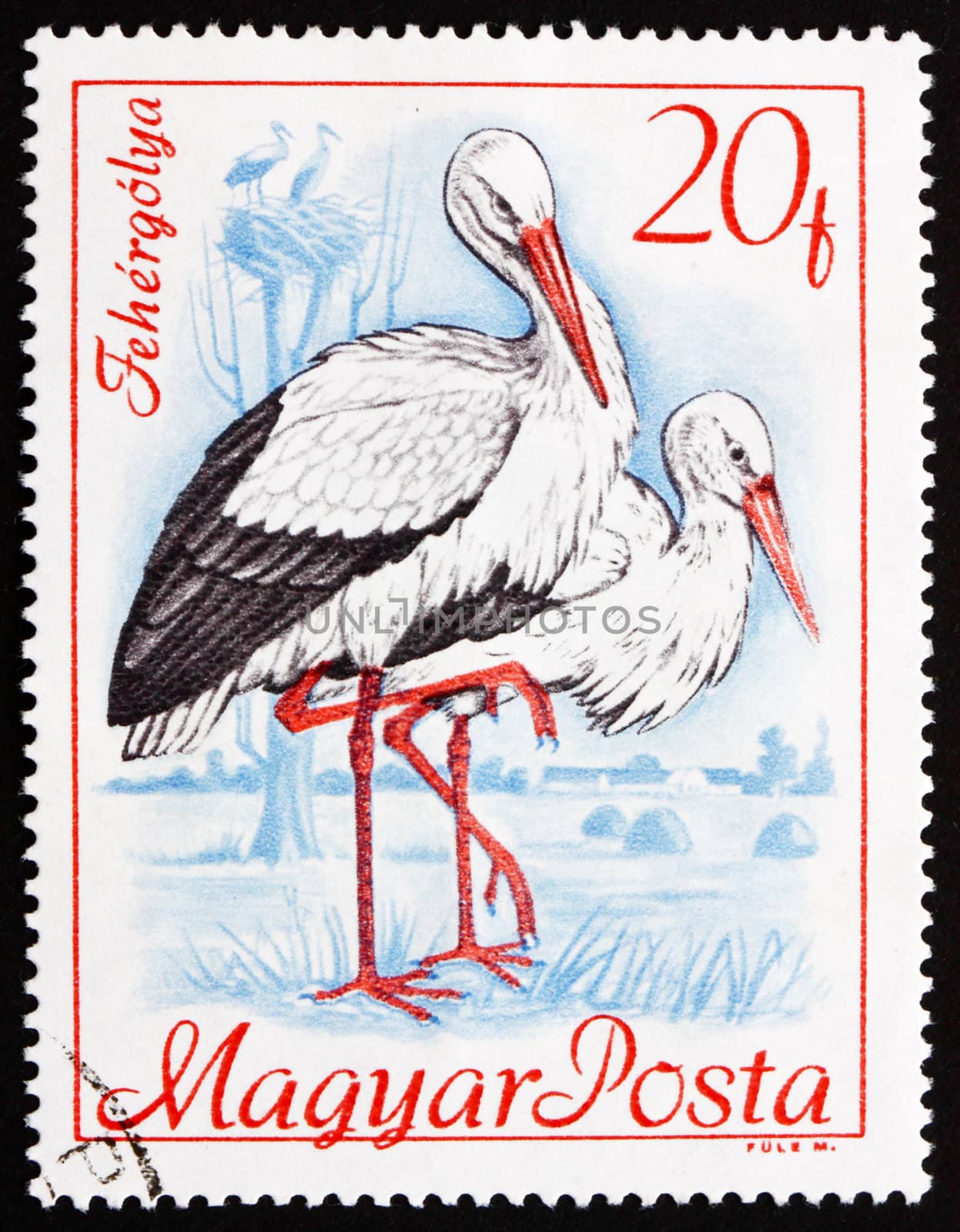 HUNGARY - CIRCA 1968: a stamp printed in the Hungary shows White Storks, Ciconia Ciconia, Bird, circa 1968