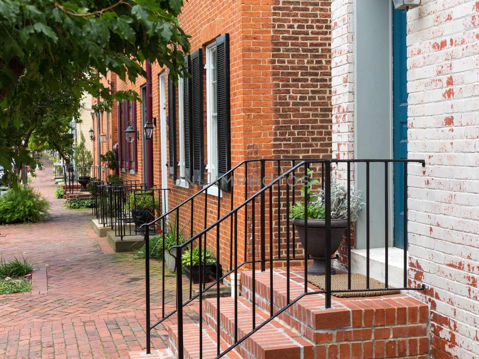 Red brick georgian houses in Frederick Maryland on historic street