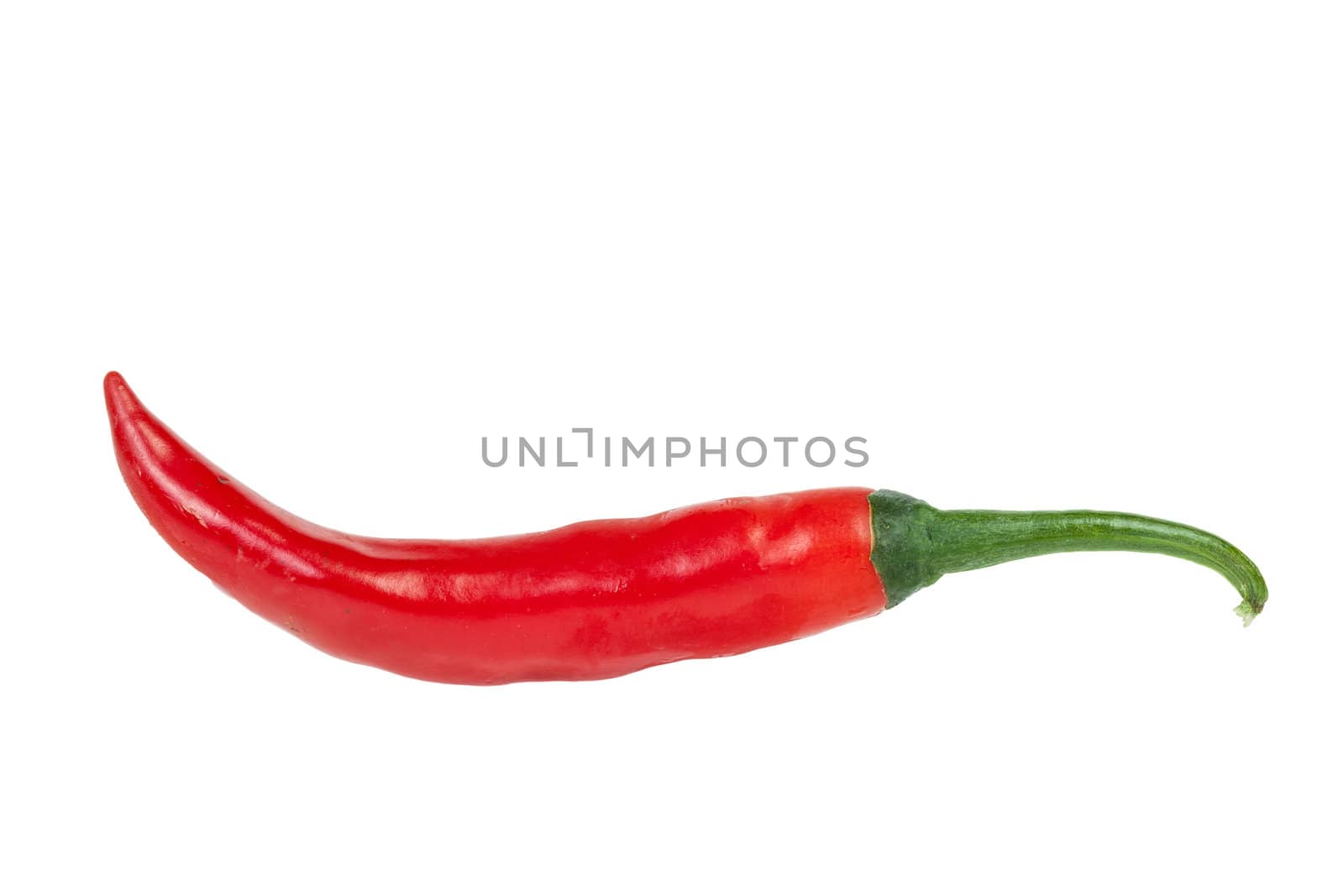 Red chili peppers isolated on the white
