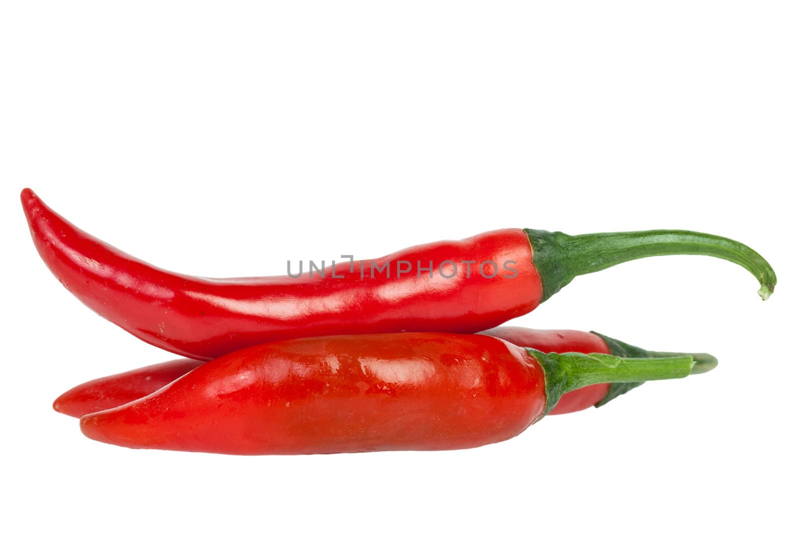 Red chili peppers isolated on the white