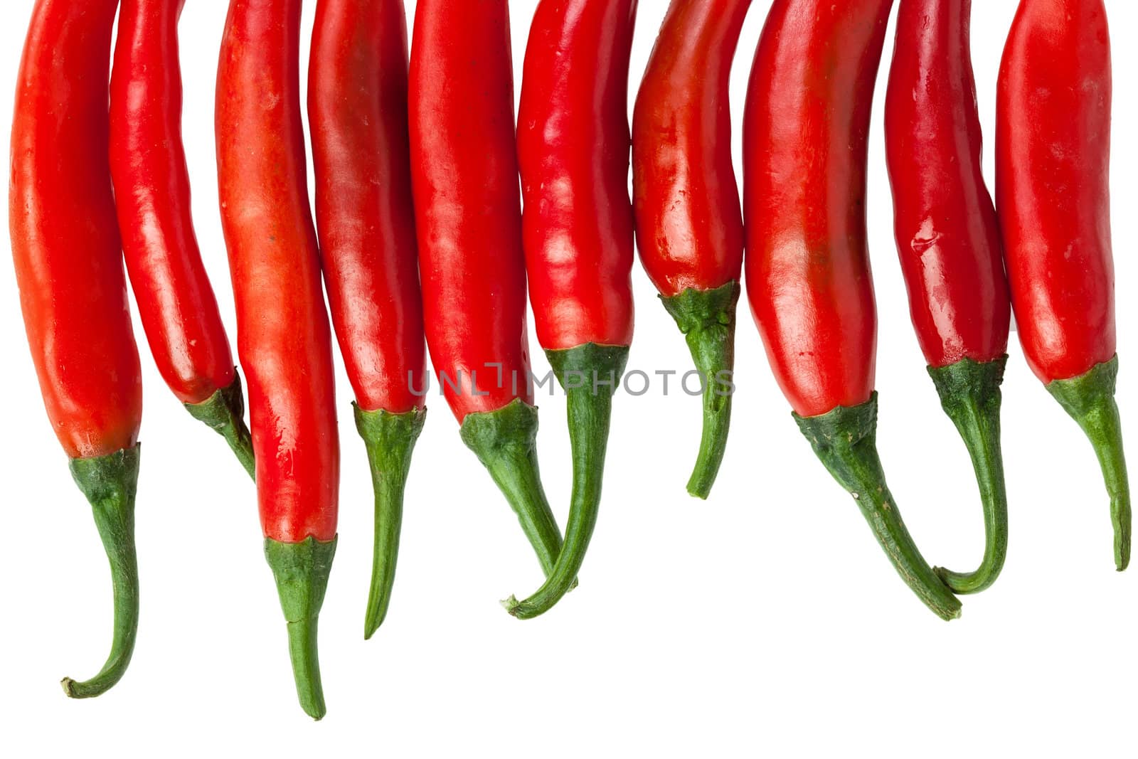 Red chili peppers isolated on the white