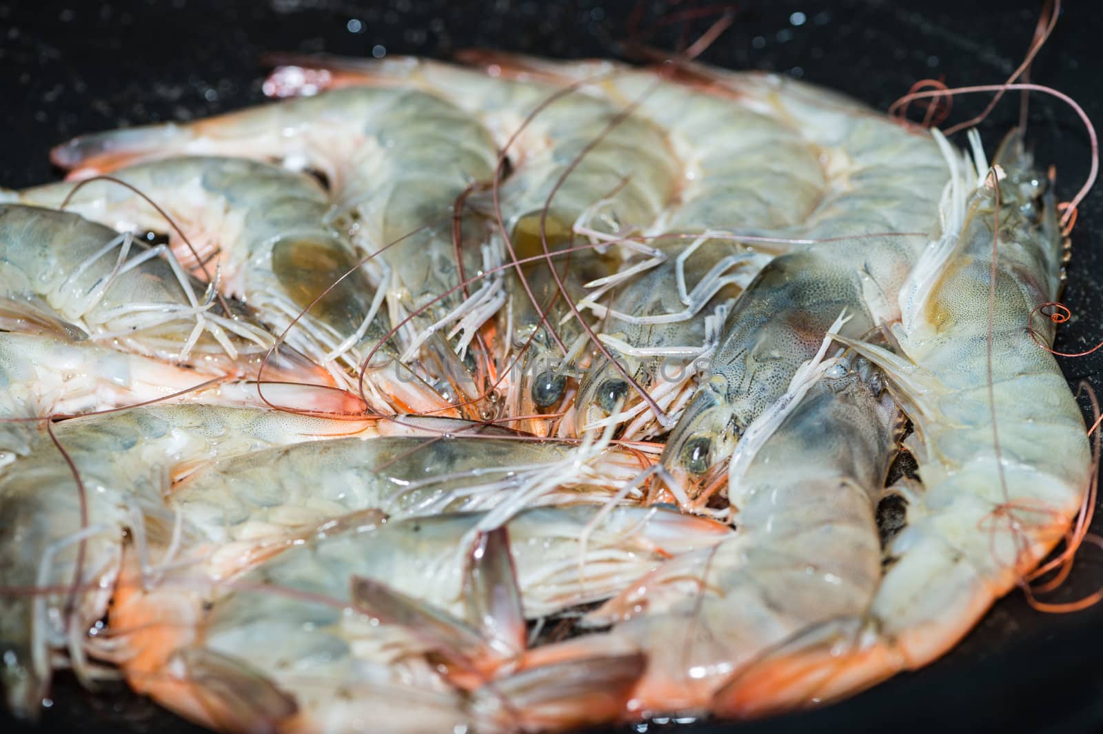 Raw shrimps are cooked on fry pan. Focus on shrimp's heads in the middle.