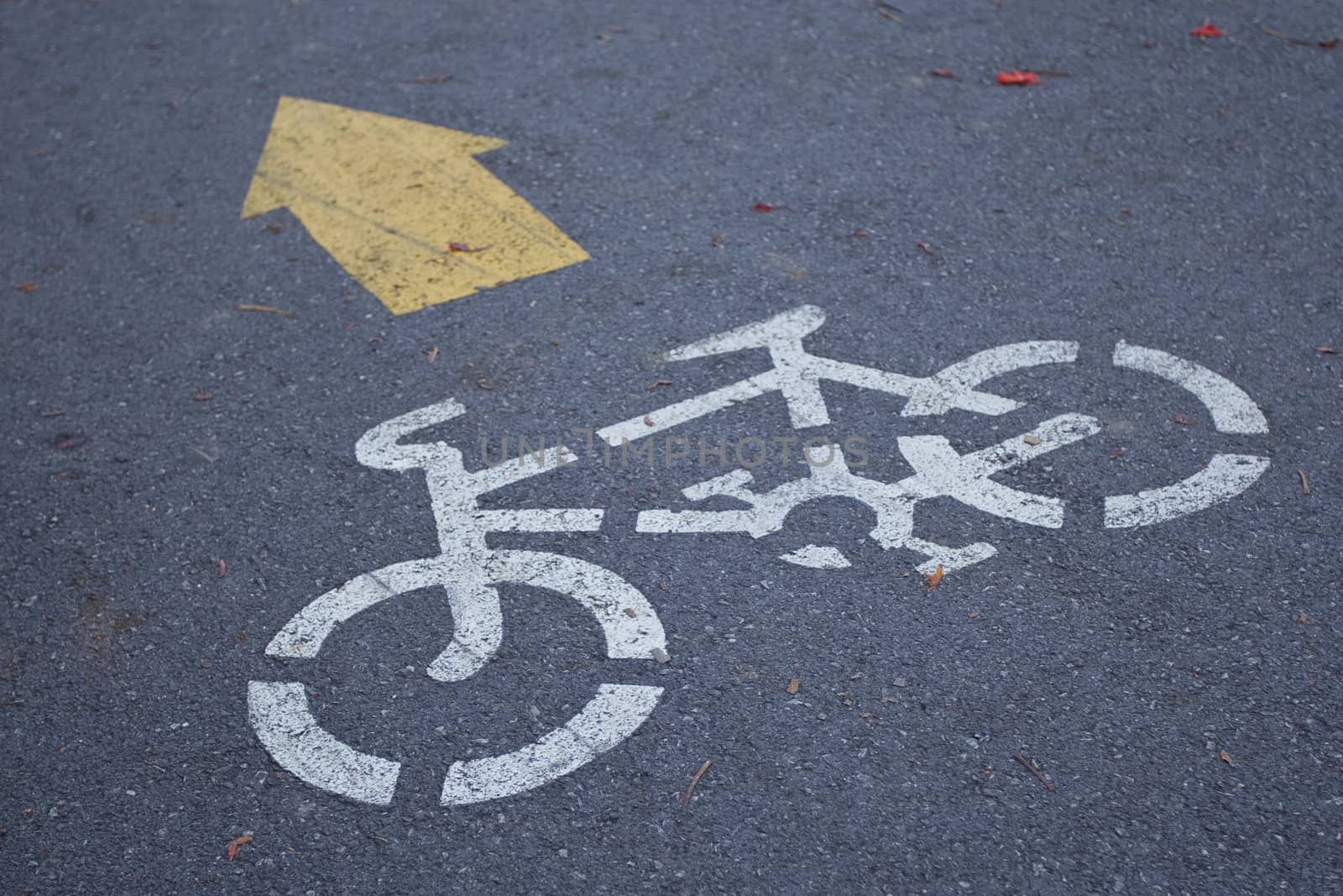 Bicycle Road Sign