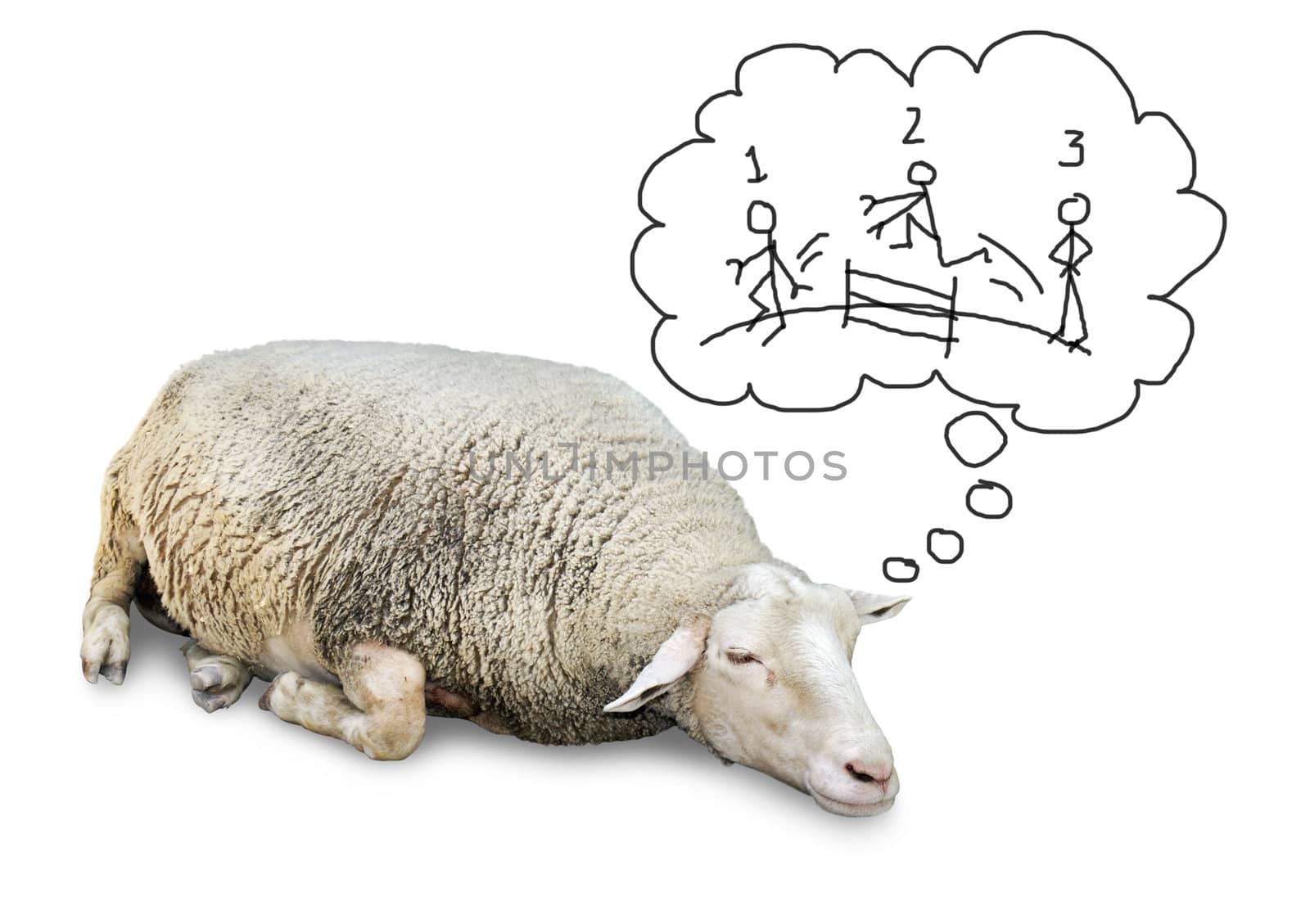 Funny concept of cute sheep with lots of wool, isolated on white counting hand drawn human stickfigures jumping over a fence to fall asleep.