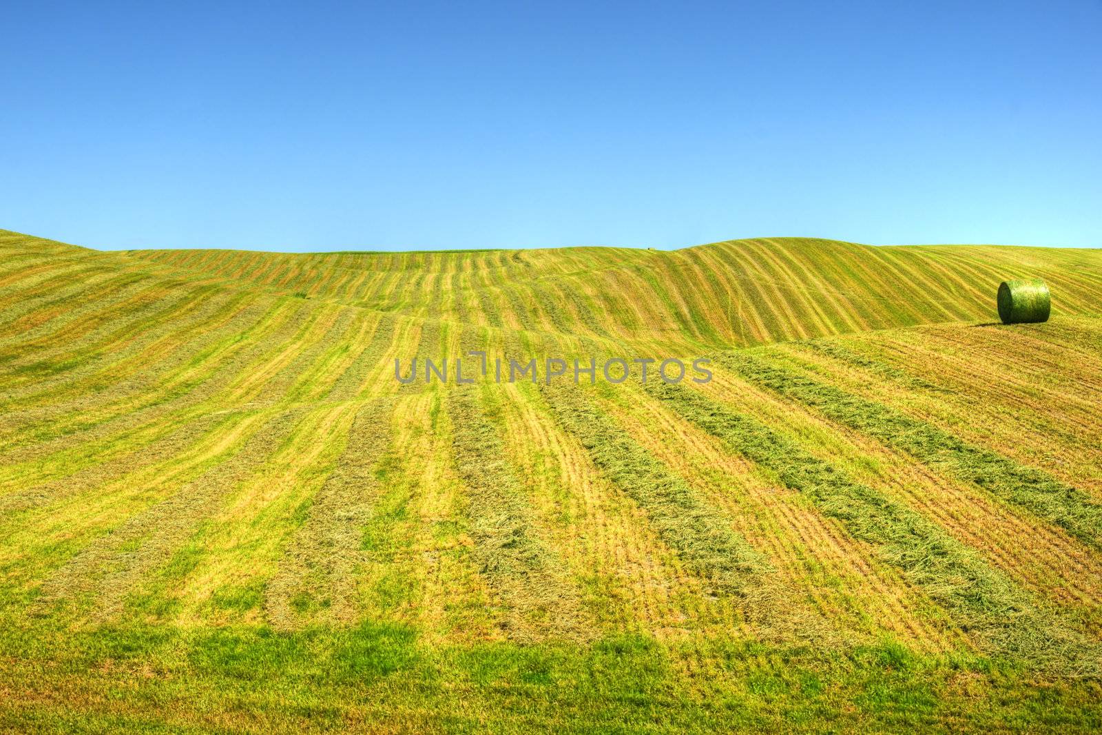 Beautiful hdr agricultural landscape: patterns in the newly swathed field with one hay bale over the gentle hills.