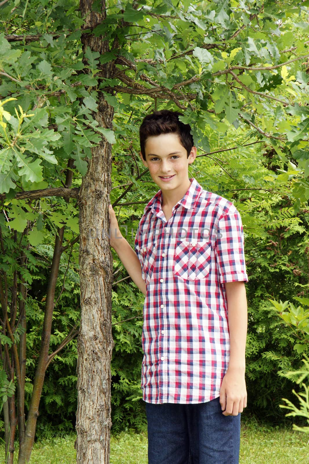 Cute young teenage boy close to a oak tree, enjoying summer at the cottage.